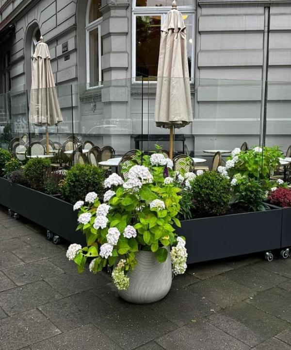 Windschutz-Gastronomie-Hamburg-Eppendorf-30072025