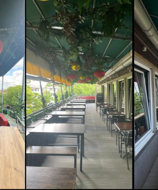 Plane für die Dachterrasse eines Restaurants in Hamburg