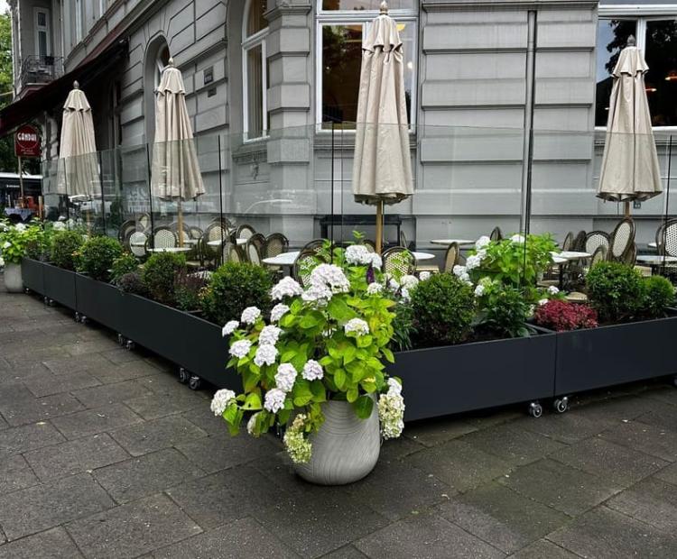 Windschutz-Gastronomie-Hamburg-Eppendorf-30072025
