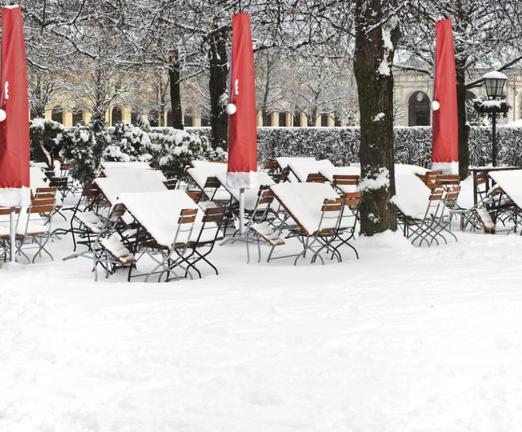 Winterschutzhülle - Nikolaus - 13102025