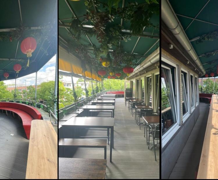 Plane für die Dachterrasse eines Restaurants in Hamburg