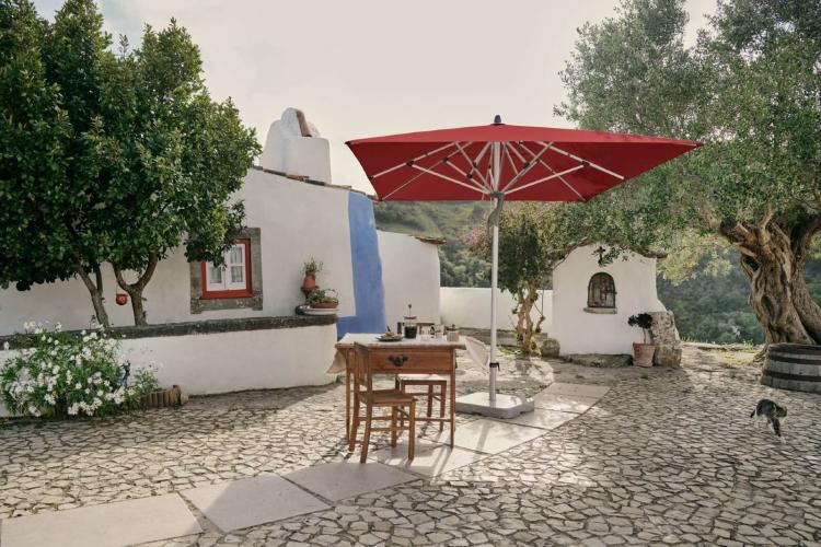 Gastroschirm FORTERO aus dem Hause Glatz