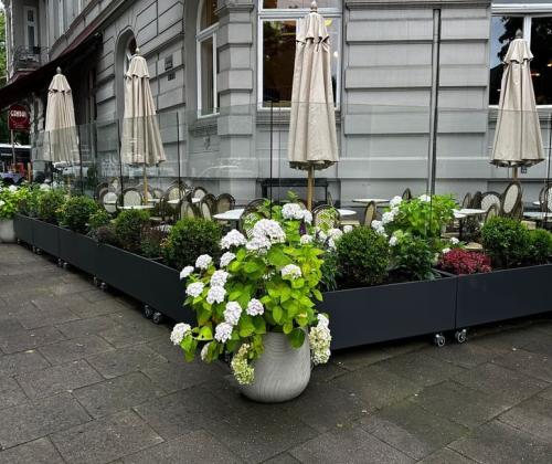 Windschutz-Gastronomie-Hamburg-Eppendorf-30072025