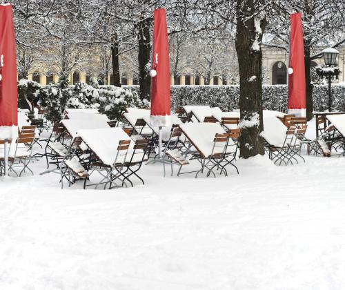 Winterschutzhülle - Nikolaus - 13102025