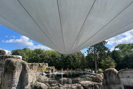 Elektrisches-Sonnensegel-SolidayC-09102025-3